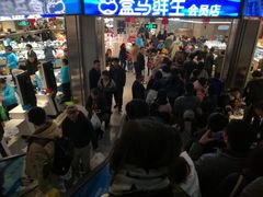 -盒马鲜生(莱蒙都会店)