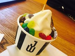 -JW德国冻酸奶Frozen Yogurt(龙湖成都滨江天街店)