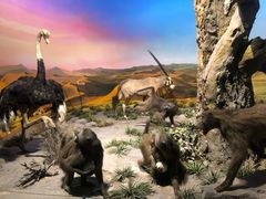 -国家自然博物馆