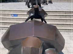 -广东惠东海龟国家级自然保护区