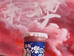 -南澳岛打卡果汁冰公司
