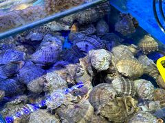 -前王院•巧克力海鲜市集餐厅(万平口店)