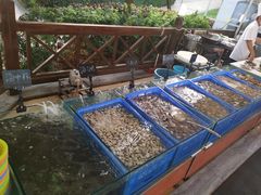 -渔家火锅·海鲜自助餐·演艺(亚龙湾天域酒店)