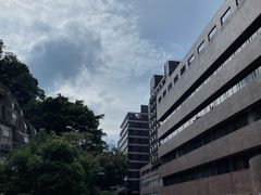 -香港大学