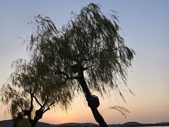 -渤公岛生态公园