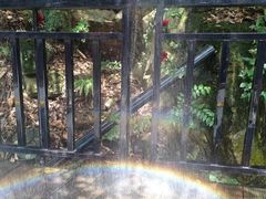 -将军关探险漂流