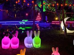 -枫花园汽车电影院(朝阳公园店)