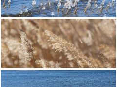 -野鸭湖国家湿地公园