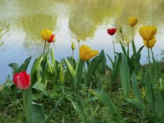 -杭州六谷生态休闲农庄有限公司