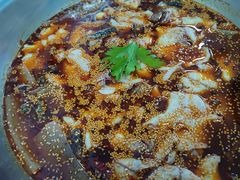 红汤鱼火锅-川渔居—鱼火锅(八方汇店)