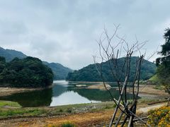 -广州市石门国家森林公园