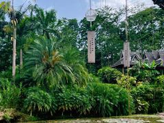 -中国科学院西双版纳热带植物园