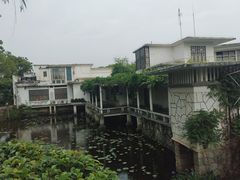 -雨湖公园
