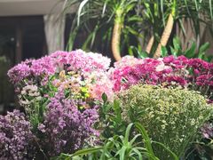 -春暖花开(西溪店)
