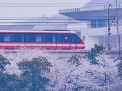 -羊山湖公园