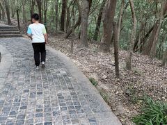 -头陀岭景区