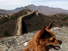 -蟠龙山长城景区