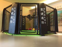 -西吉马游泳健身(协信店)