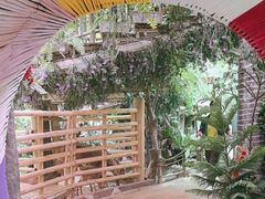 -正佳雨林生态植物园