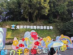 -千岛湖龙川湾