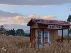 -良渚古城遗址公园