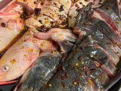 -金海椒罐罐鲢鱼(东方桂苑店)