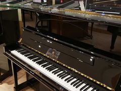 -柏斯音乐艺术中心·钢琴·吉他(世纪金源店)