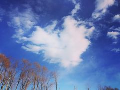 -东郊湿地公园