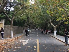 -八大关景区