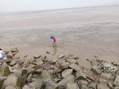 -南汇嘴观海公园