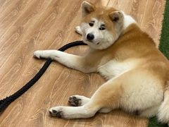 -YCHL Studios健身工作室(市二宫店)