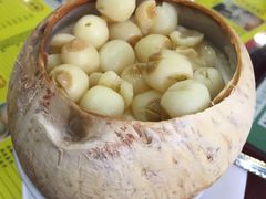 原只椰子炖奶-民信老铺(华盖路店)