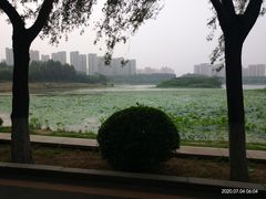-丁香湖公园