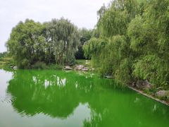 -秀水公园