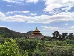 -磬锤峰森林公园