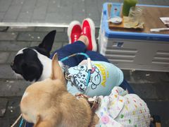 -BE YOLO必有乐&小红帽三明治