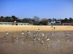 -青岛第二海水浴场