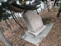 -山东大学(威海校区)