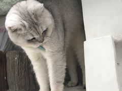 -小时光咖啡馆(北锣鼓巷店)