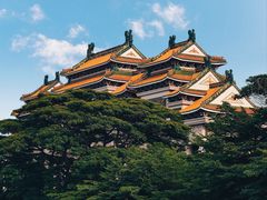 -顺峰山公园