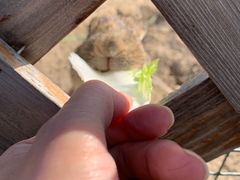 -兴芮温泉度假区