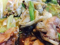 -豪华脆肉鲩
