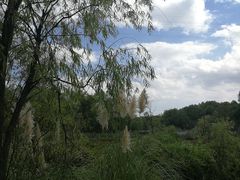 -西湖风景区-江洋畈生态公园