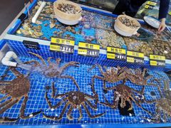 -青岛蓝海大饭店·渔歌舫(李沧店)