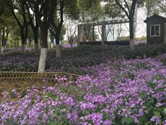 -白塘生态植物园