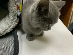 -康乐宝动物医院