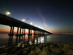 -宝安西湾红树林湿地公园