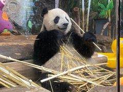 -海南热带野生动植物园