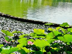 -石湖景区
