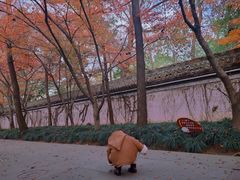 -柯岩风景区